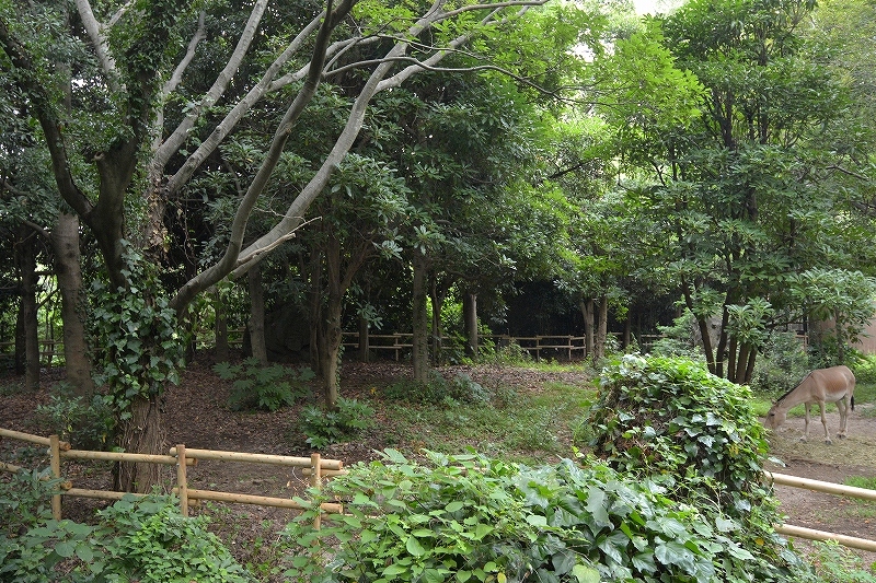 a0164204_12472685.jpg