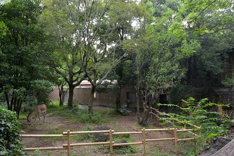 a0164204_13040703.jpg