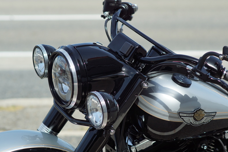 FXDL custom_e0127304_07444912.jpg