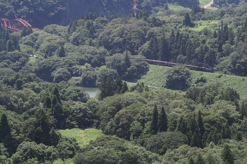 緑で埋め尽くされる視野 - 2019年夏・磐越西線 -_b0190710_21300577.jpg