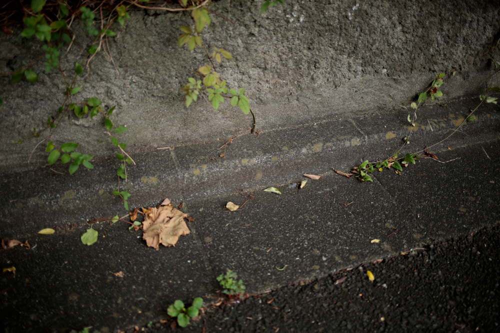 d0011713_23342601.jpg