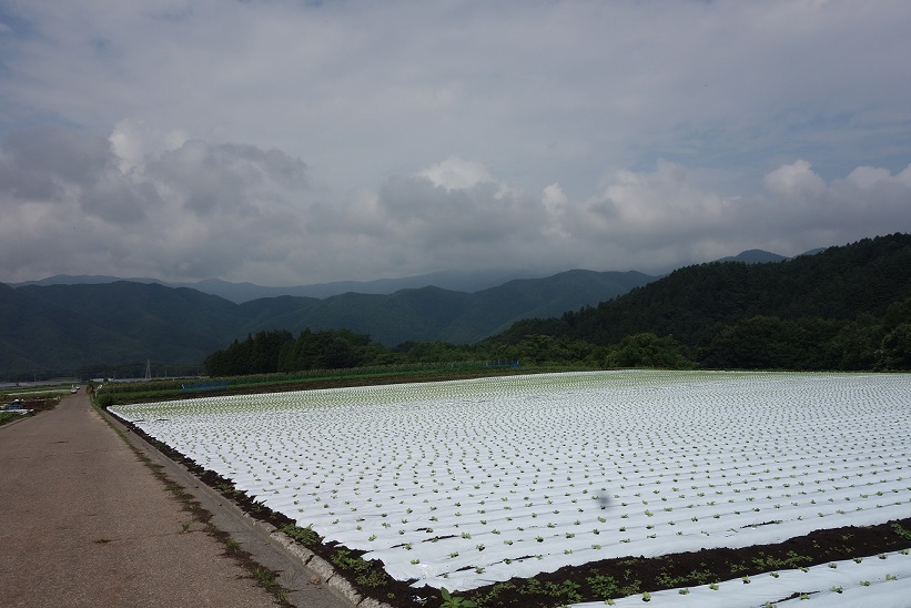e0112417_21510937.jpg