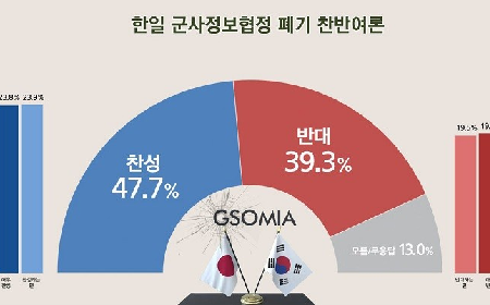 GSOMIA破棄 - 韓国は筋を通すべき、全責任は安倍日本にある_c0315619_13270405.png