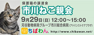 8/20引き出し編・レポート紹介　全　３4頭_f0078320_09243394.png