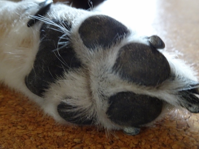 f0143123_07543959.jpg