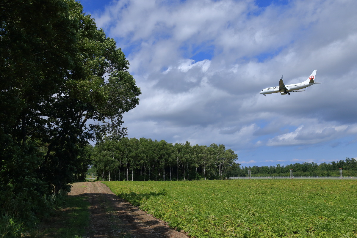 木陰を見つけて　～とかち帯広空港～_a0263128_09044500.jpg