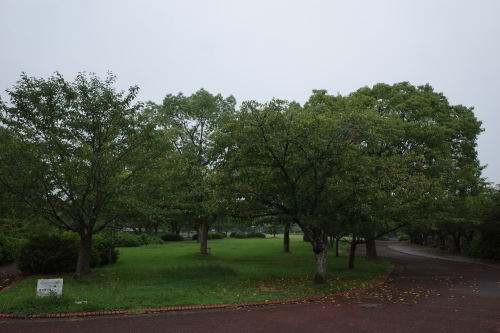 a0345833_20270511.jpg