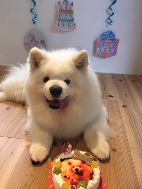 仁徳天皇陵古墳_b0177436_11350281.jpeg