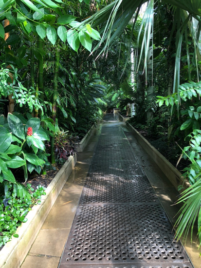 c0112447_19120096.jpg