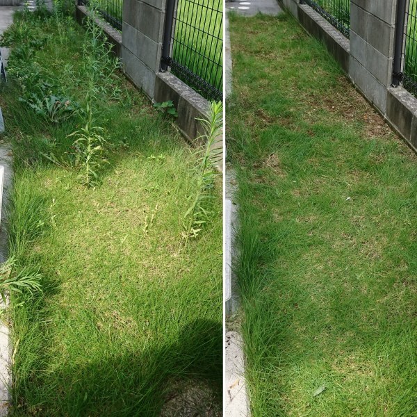 ++やっと スッキリさせた場所その②*++_e0354456_15241976.jpg