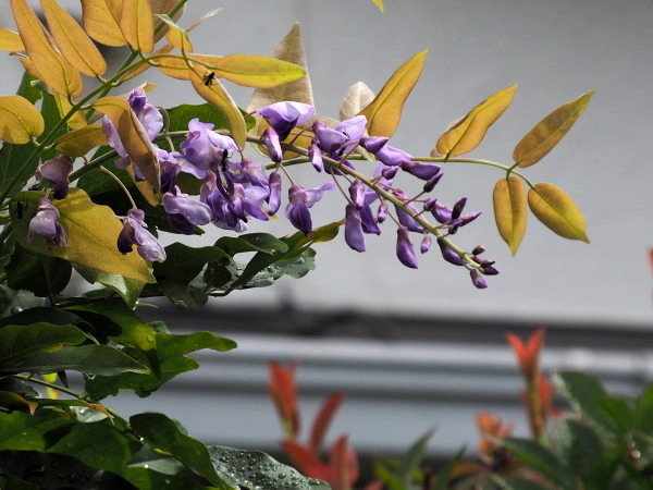 f0208666_20122572.jpg