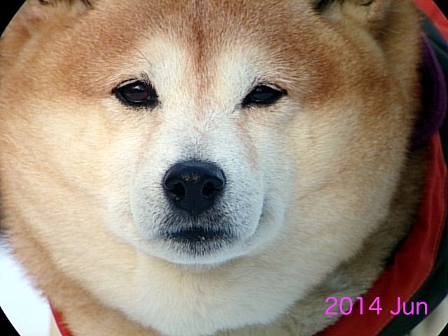 b0274270_15201867.jpg