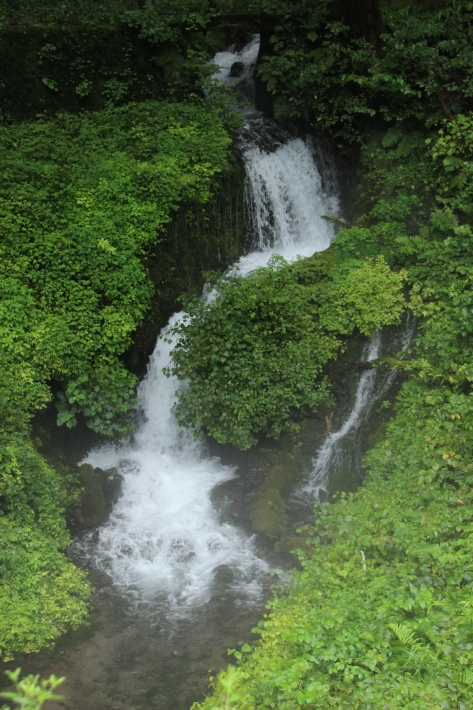 涼を求めて(2) 箱島湧水 (2019/8/22撮影)_b0369971_09342496.jpg