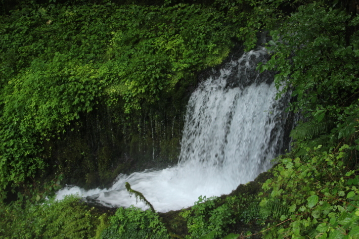 涼を求めて(2) 箱島湧水 (2019/8/22撮影)_b0369971_10112707.jpg