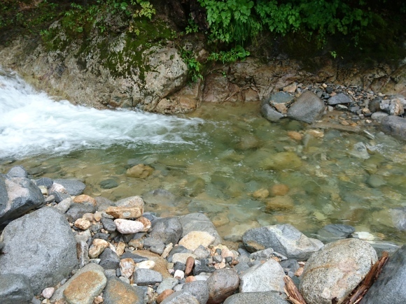 c0157482_10071006.jpg