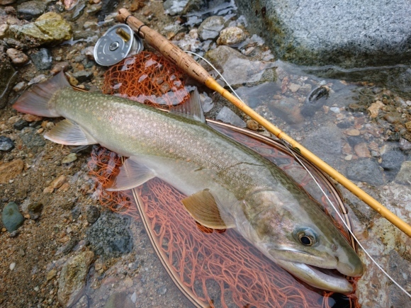 c0157482_12183126.jpg