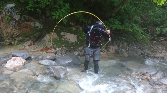 c0157482_12323163.jpg