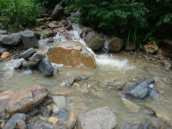 c0157482_13295846.jpg