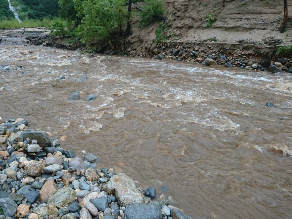 c0157482_13341525.jpg
