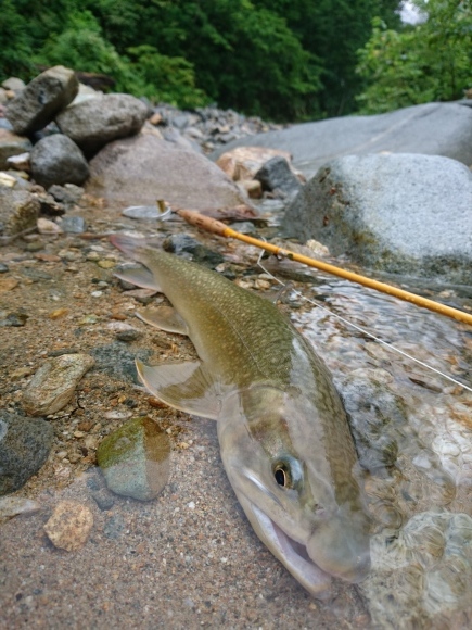 c0157482_13430519.jpg