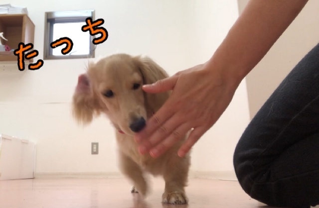 トレーニングブログ_f0357682_23344368.jpeg