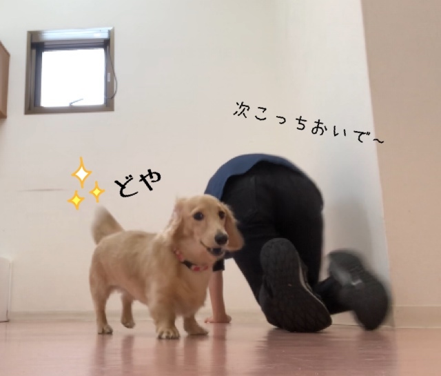 トレーニングブログ_f0357682_23350592.jpeg