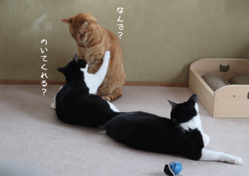 a0216583_22410390.png