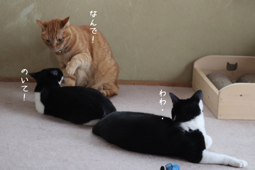 a0216583_22411063.png