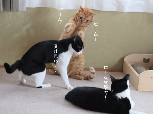 a0216583_22412021.png