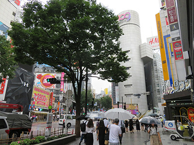 b0056983_14204734.jpg