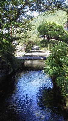 c0229483_93557.jpg
