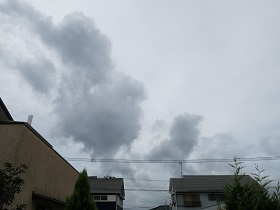 e0130185_105345100.jpg