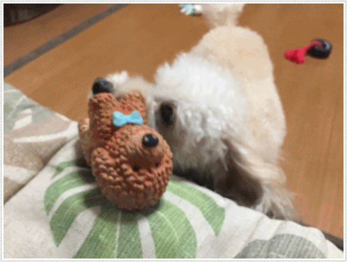b0175688_19055063.gif