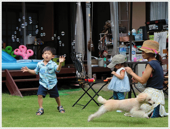 孫たちの、大分5泊6日の夏休み その4 シャボン玉飛んだ~_b0175688_22361361.gif