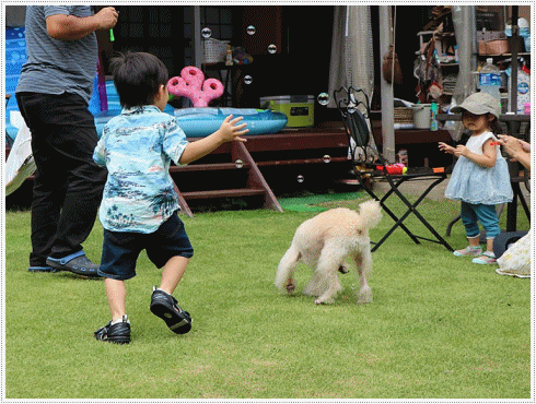 孫たちの、大分5泊6日の夏休み その4 シャボン玉飛んだ~_b0175688_22361821.gif