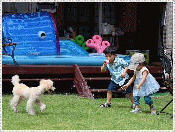 孫たちの、大分5泊6日の夏休み その4 シャボン玉飛んだ~_b0175688_22370776.gif