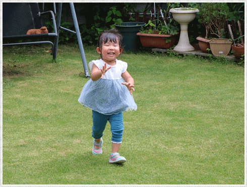孫たちの、大分5泊6日の夏休み その4 シャボン玉飛んだ~_b0175688_22420210.gif