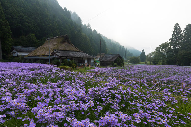 久多の里_e0051888_06254277.jpg