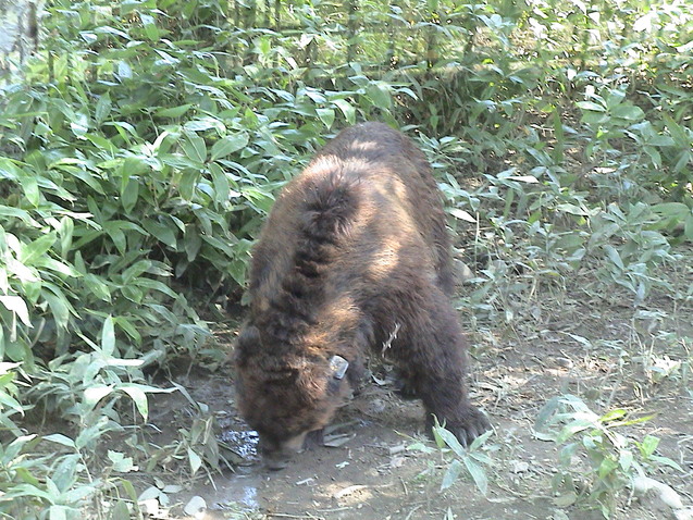 c0171889_1133995.jpg