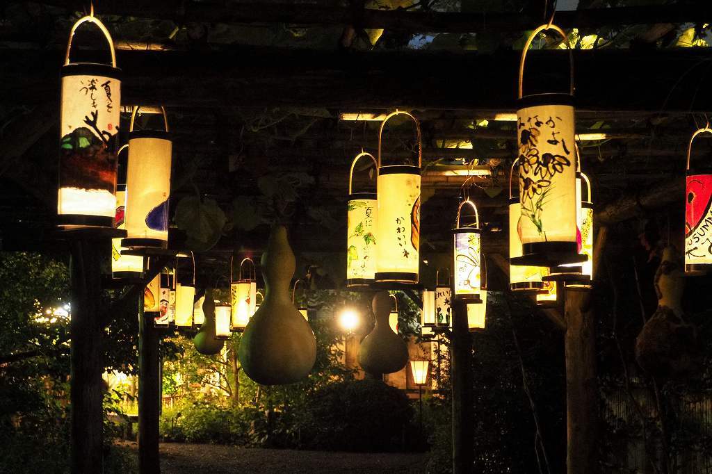 虫聞きの会_e0348392_22065863.jpg