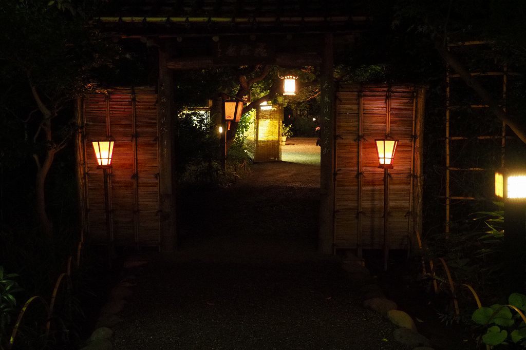 虫聞きの会_e0348392_22071714.jpg