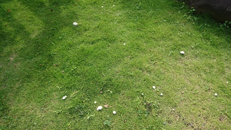 c0320302_19140427.jpg