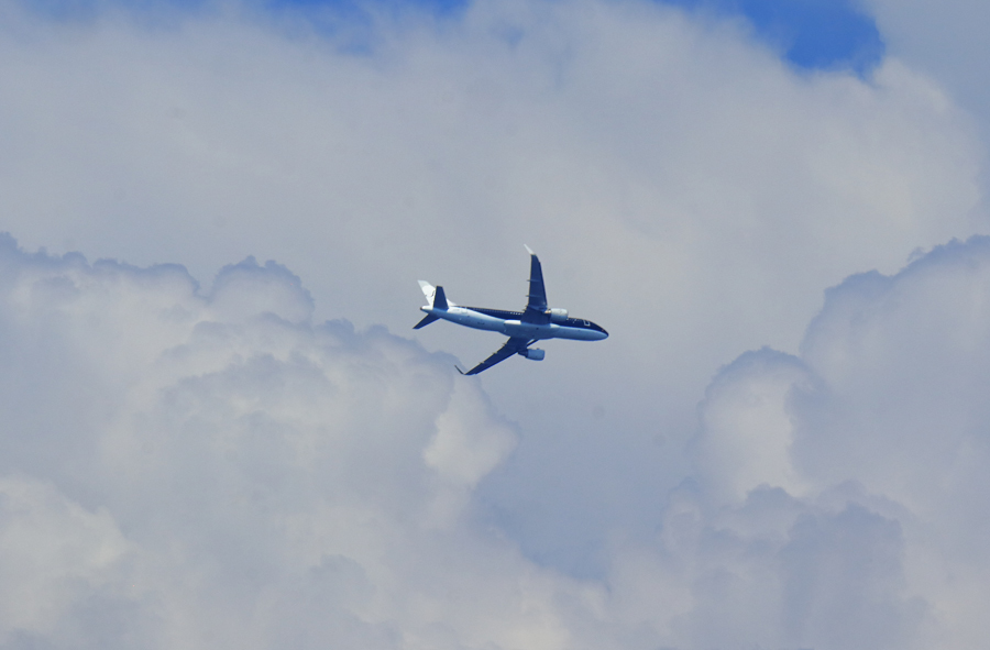 e0093903_20455444.jpg