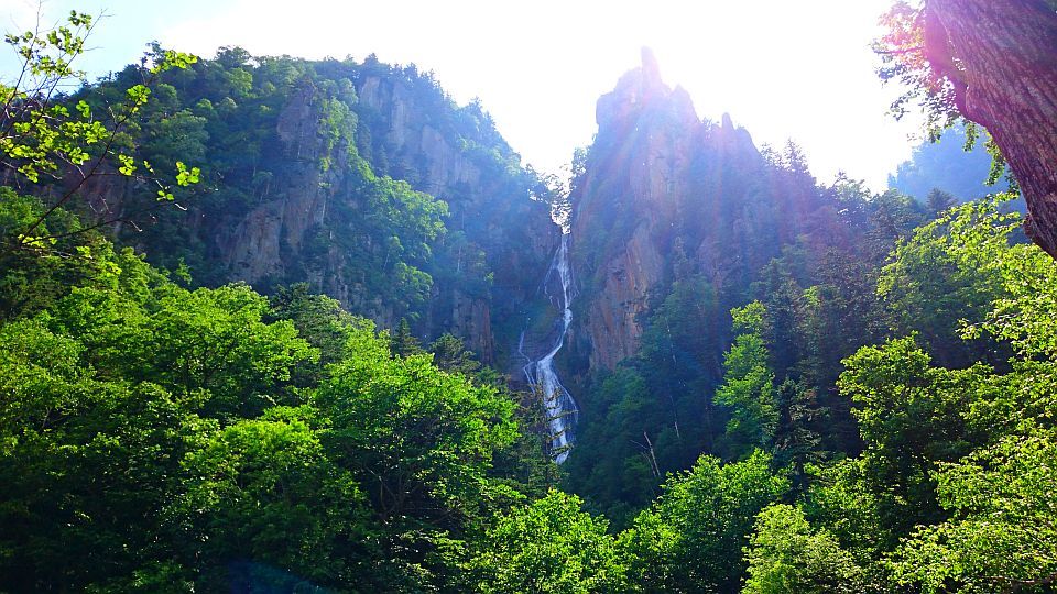 b0172805_12253618.jpg
