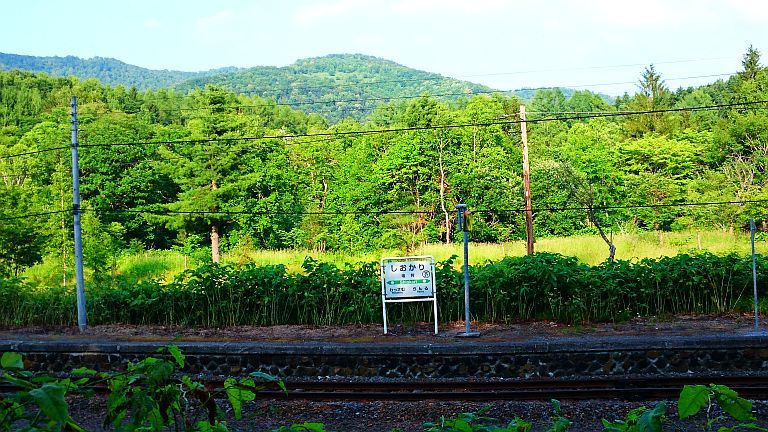 b0172805_12425665.jpg