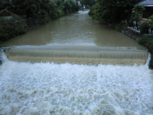 f0173908_17135643.jpg