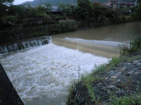 f0173908_17142141.jpg