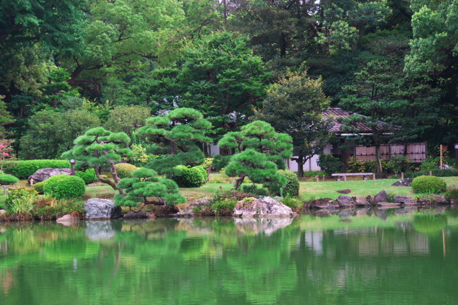 真夏の清澄庭園1_a0263109_20123109.jpg