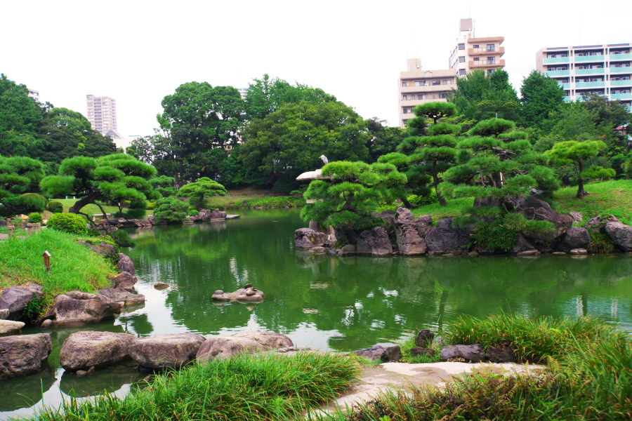 真夏の清澄庭園1_a0263109_20123139.jpg