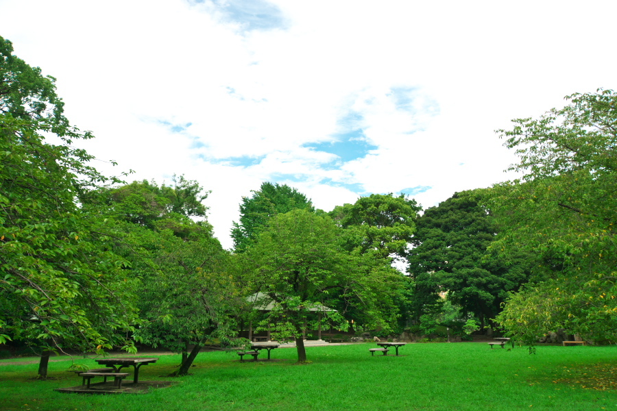 真夏の清澄庭園1_a0263109_20125850.jpg